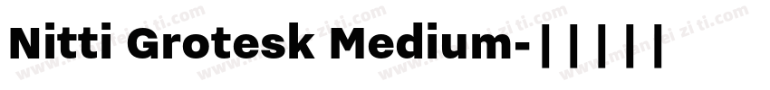 Nitti Grotesk Medium字体转换